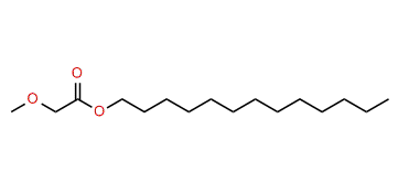 Tridecyl methoxyacetate